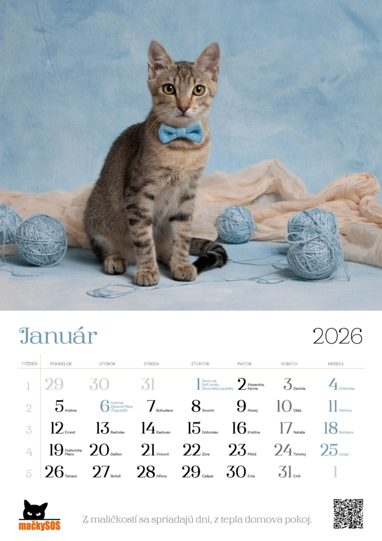Fotografovanie mačiek s rekvizitami pre kalendár Mačky SOS 2026